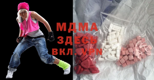 МДПВ Бородино