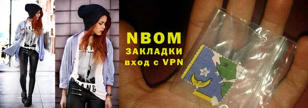 индика Бугульма
