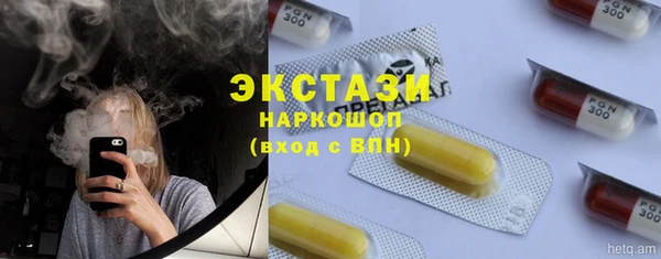 МДПВ Бородино