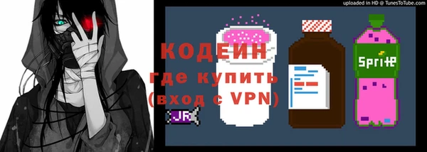 МДПВ Бородино