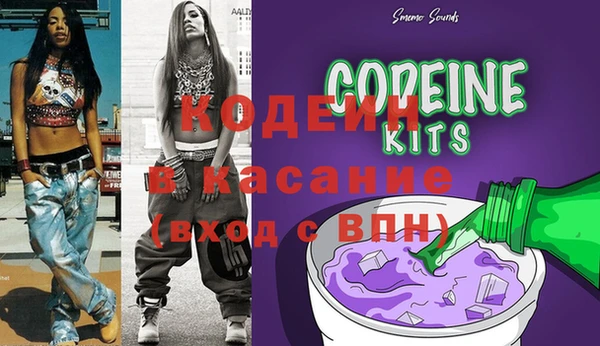индика Бугульма