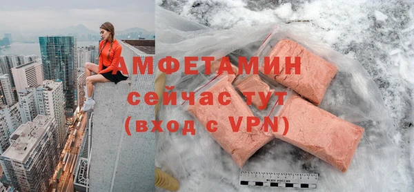 индика Бугульма