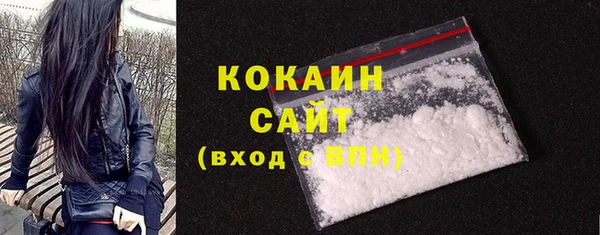 индика Бугульма