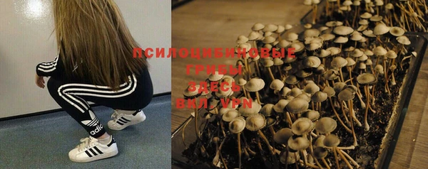 гашиш Богданович