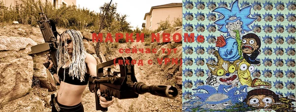 гашиш Богданович