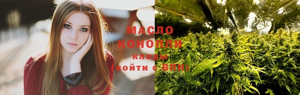 сатива Беломорск