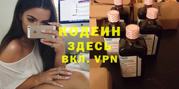гашиш Богданович