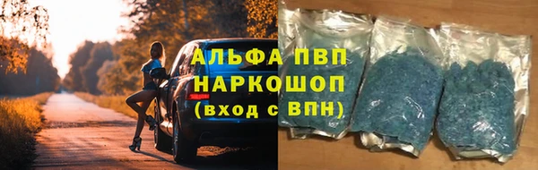 МДПВ Бородино