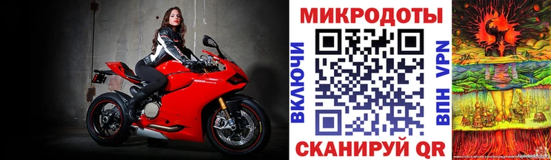 Псилоцибиновые грибы ЛСД  наркотики  Дальнегорск 