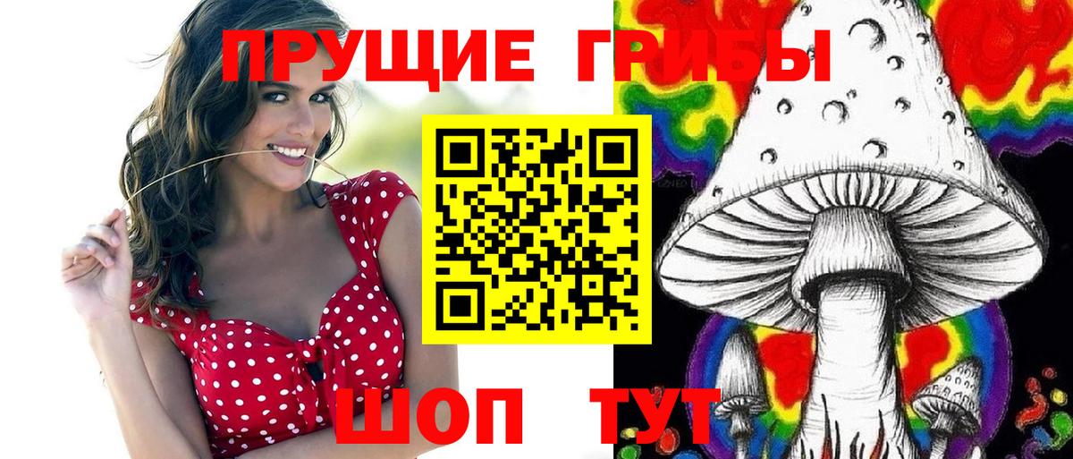 Галлюциногенные грибы Psilocybine cubensis Дальнегорск