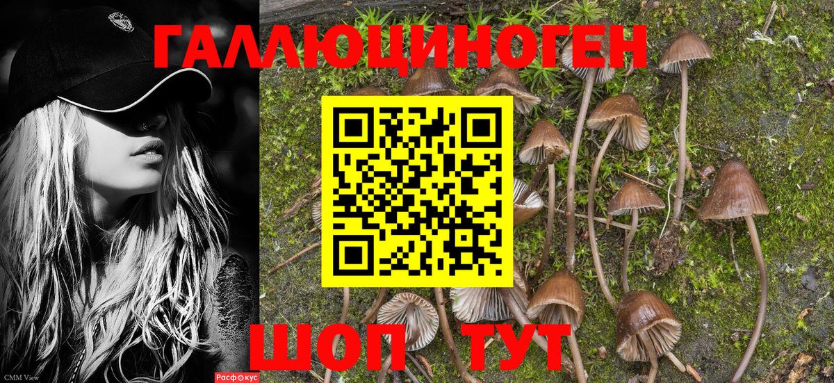 Псилоцибиновые грибы ЛСД  Псилоцибиновые грибы Psilocybine cubensis  Дальнегорск  Вход с VPN 